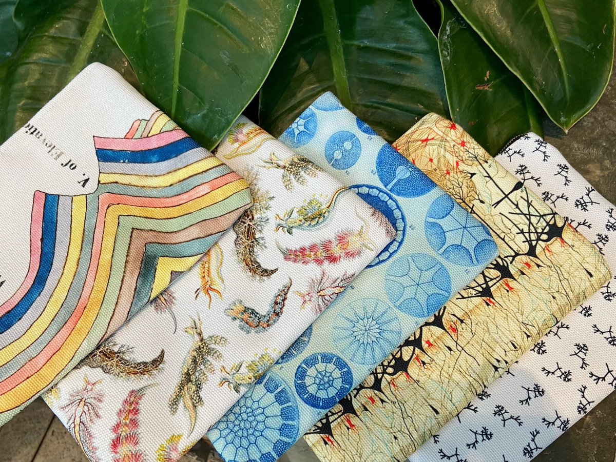 theBlueBeehive's tweet photo. Organize your field bag with 10” zippered canvas bags. All bags will be restocked at https://t.co/STJqmB1UHN - Darwin &amp; Valley bags still available #SICB2024
…..
Valley: designed by Orra Hitchcock between 1828-1840. Originally painted on canvas for classroom walls. https://t.co/ehFykedNQj