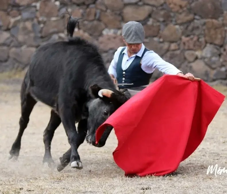 Xavier Gallardo tweet media