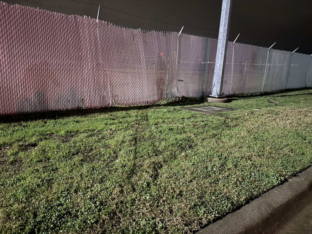 Christopher Cook tweet media