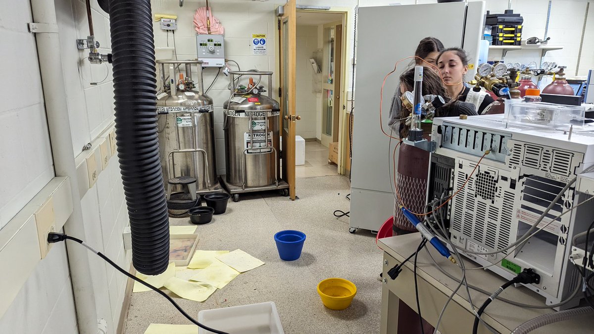 Paolo Cifani tweet media