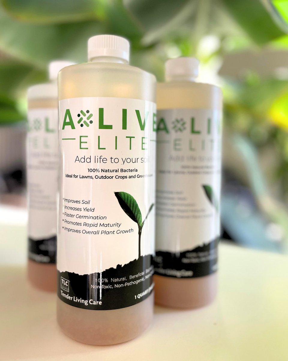 AliveBiotech's tweet photo. FAQ: How often should I apply A*LIVE Elite to my indoor plants?

Frequent applications of A*LIVE Elite (about once every seven days) are most effective. All you have to do is add it to your watering can, and away you go! 💦🌱✨ https://t.co/nnfwJjyMwF