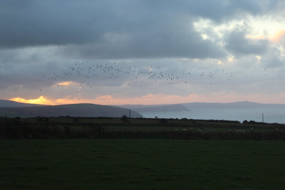 emlynevan's tweet photo. just a bit o colour over #FishguardBay as I went out farm entrance before dark tonight . . colder now but dry thankfully ! 🏴#JanuarySunset #MachludIonawr 🏴 https://t.co/JkvydEnpG4