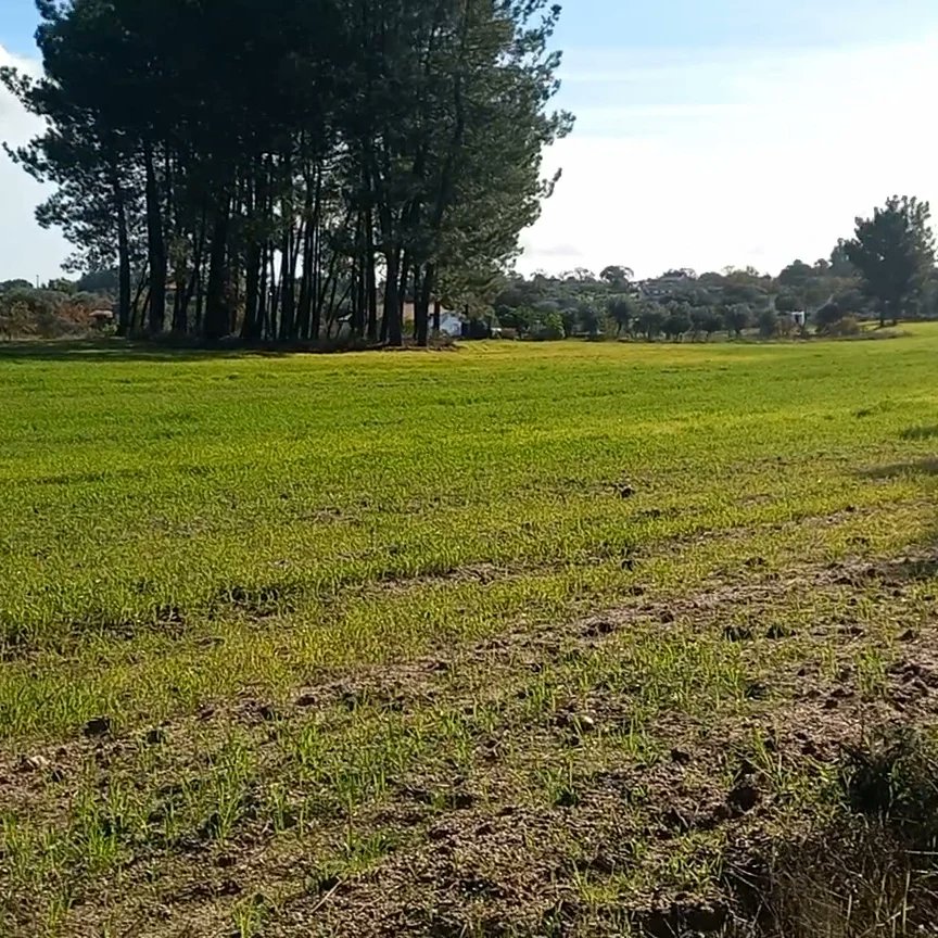 JaneGre31530250's tweet photo. ourperfectpieceofportugal6556
Check out tonight's video at 7pm GMT where we begin the bathroom renovation on our granite stone house in Central Portugal 🇵🇹 
#DIY #bathroom #houserestoration #stonecottage #centralportugal https://t.co/wKKqvwttcV