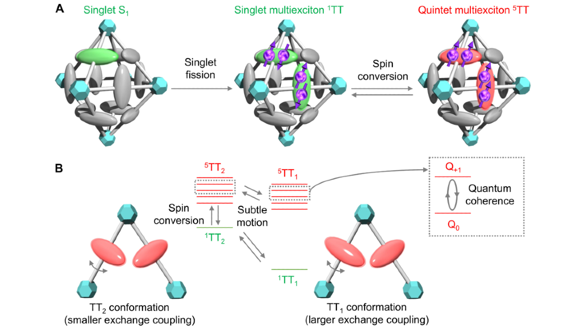 IEEEQuantum's tweet photo. New #research alert! This @sciencemagazine paper addresses room-temperature #quantum coherence of entangled multiexcitons in a metal-organic framework. It shows how molecular motions should be designed to achieve quantum coherence of #qudits at room temp: https://t.co/kcZvx1yrWk https://t.co/P3iDUB6Pf1