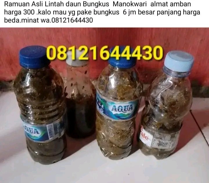 daun_asli's tweet photo. https://t.co/zNa40CDWNH