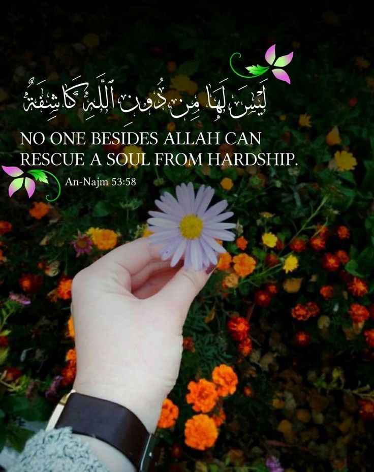 KhizarShehla's tweet photo. INDEED 🌼 https://t.co/SDn301ptEq