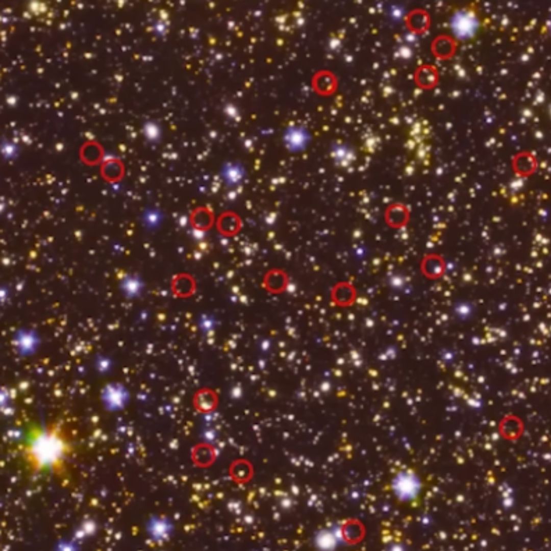 answerswithjoe's tweet photo. Here are the top #VideoImages from my video "The Biggest Science Discoveries of 2023"
Check out the full video π https://t.co/fZRcCxEzd0 #LaughSmarter https://t.co/IyqKwZN89D