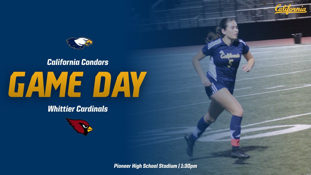 LadyCondors's tweet image. 