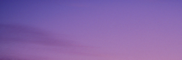 saintpixel tweet picture