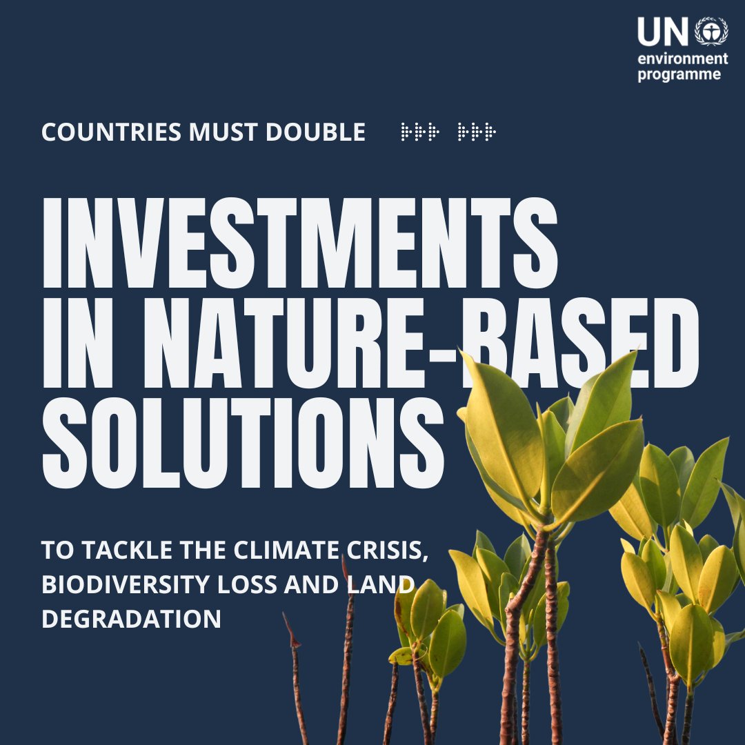 Nature play a key role in tackling the triple planetary crises of pollution, climate change, and biodiversity loss.

Investing in nature-based solutions means investing in humanity‘s future. unep.org/unep-and-natur…