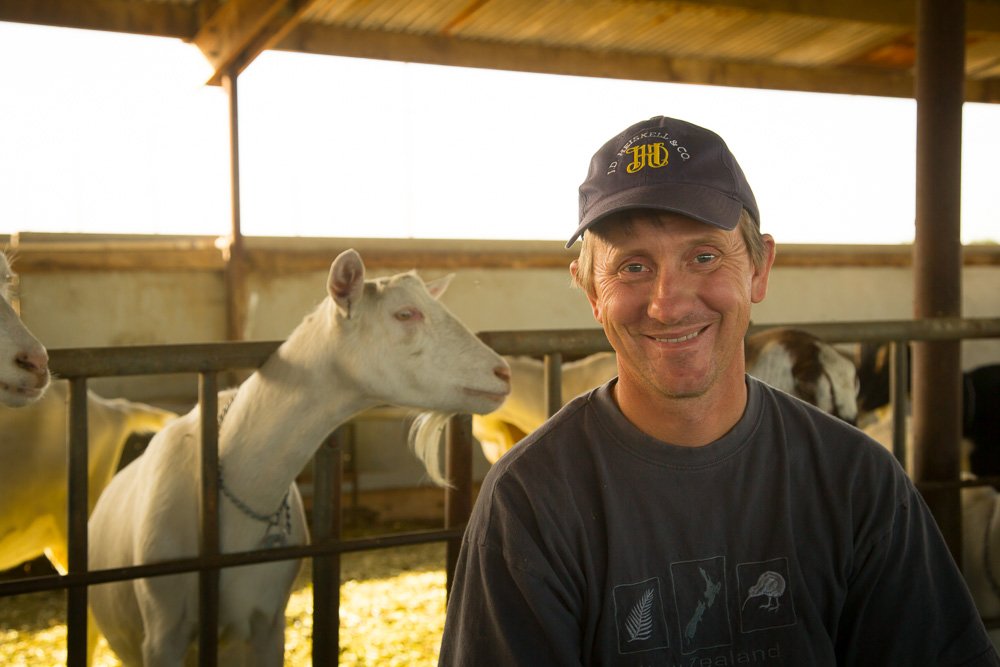 DairyPCC's tweet photo. Grantee Feature Friday: From award winners to grant winners! Drake Family Farms (Ontario, CA) produces Artisan Farmstead Goat Cheese with milk from their own award-winning dairy goats of the Saanen, Nubian, and Alpine varieties. https://t.co/W9QUuxdbYa