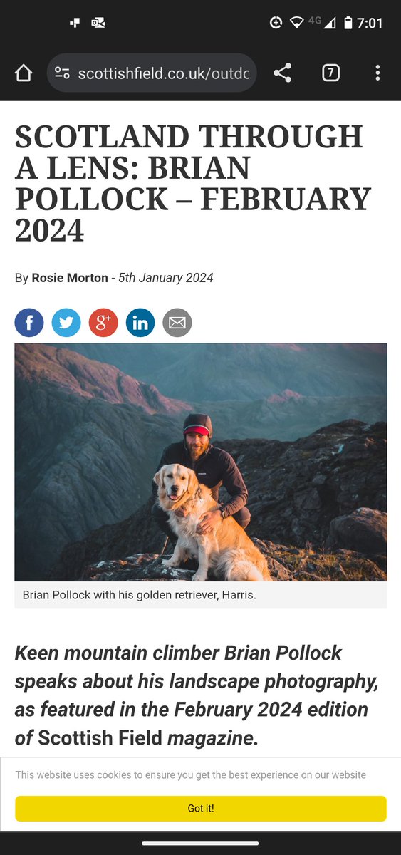 Brian Pollock Photography tweet media