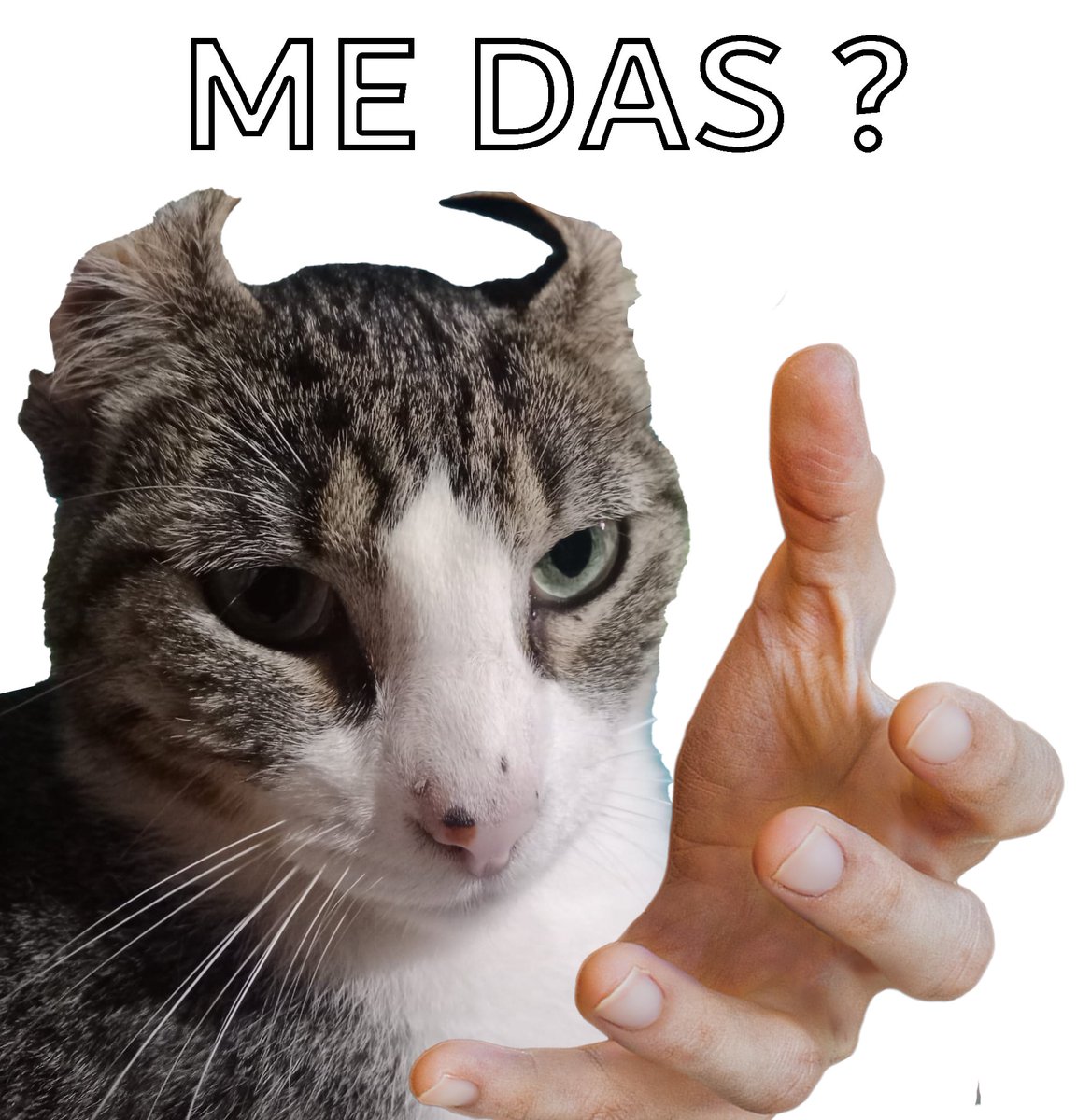 Mini_N0X3's tweet photo. Directo right now  https://t.co/w47WtbIWoL https://t.co/v1ffa08tPs