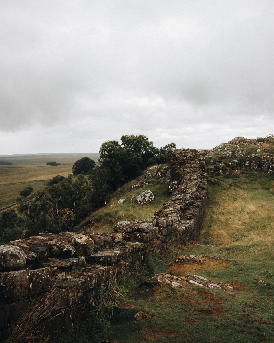 🤩Een prachtige foto van deze oude muur! 💫De muur vormt een mooie lijn in beeld en de foto is mooi, zacht belicht.📸
Gefeliciteerd jatanphoto met deze Foto van de Dag!🏆

Bekijk meer mooie foto's op: zoom.nl/profiel/jatanp…
