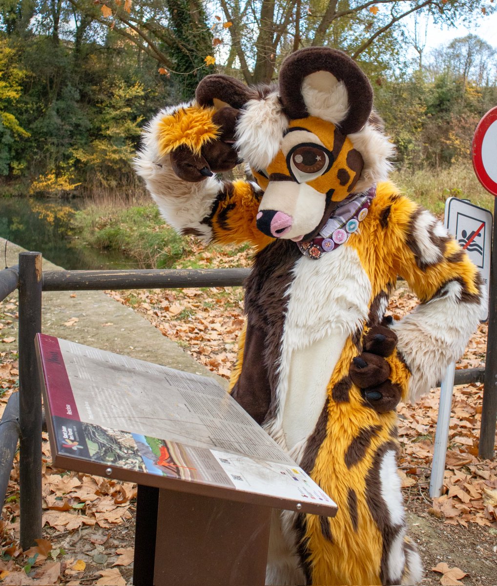 ❓❓❓ I'm dog I can't read 

First #FursuitFriday of the year ✨💜
📸 <a href="/Rekiz94/">Rekiz</a>
