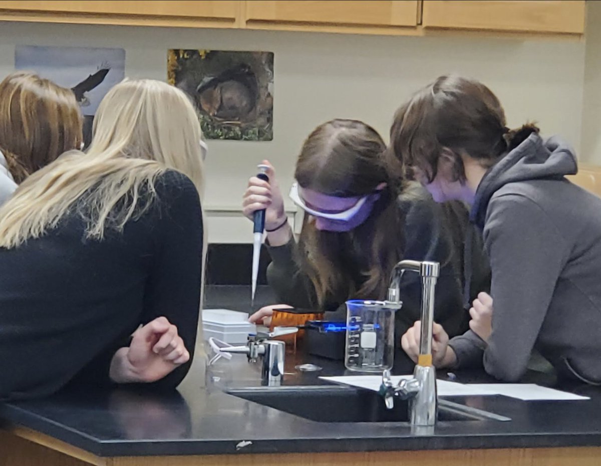 MNSDIrvine's tweet photo. Warriors in our Accelerated Bio students utilized electrophoresis systems to identify the gender of birds through DNA testing. #mhspride @1WarriorMHS https://t.co/VaezQ08gM3