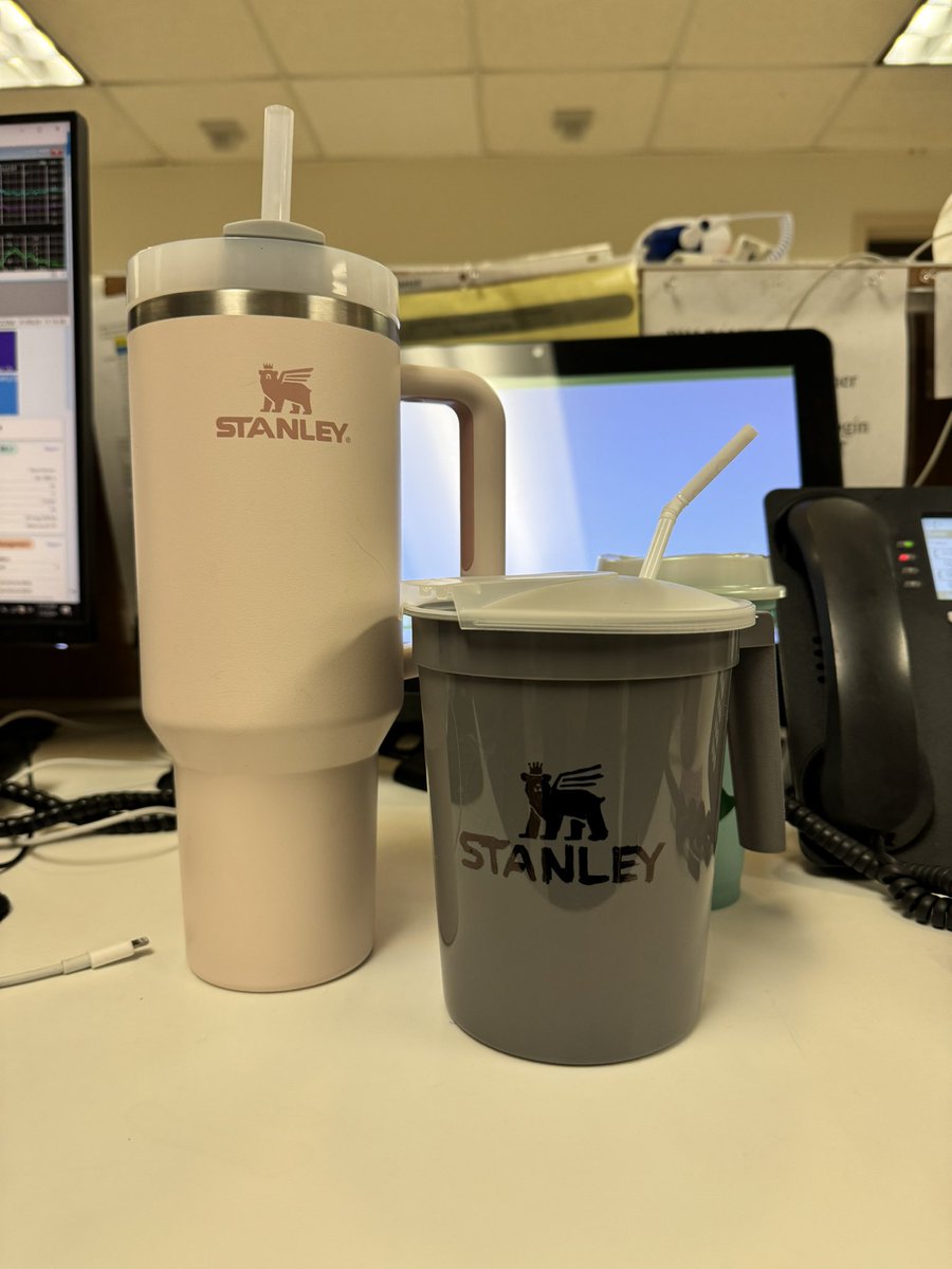 thelostmermaid_'s tweet photo. Didn’t  wanna splurge on a Stanley so I made my own @stanley https://t.co/8fjM78rRuh