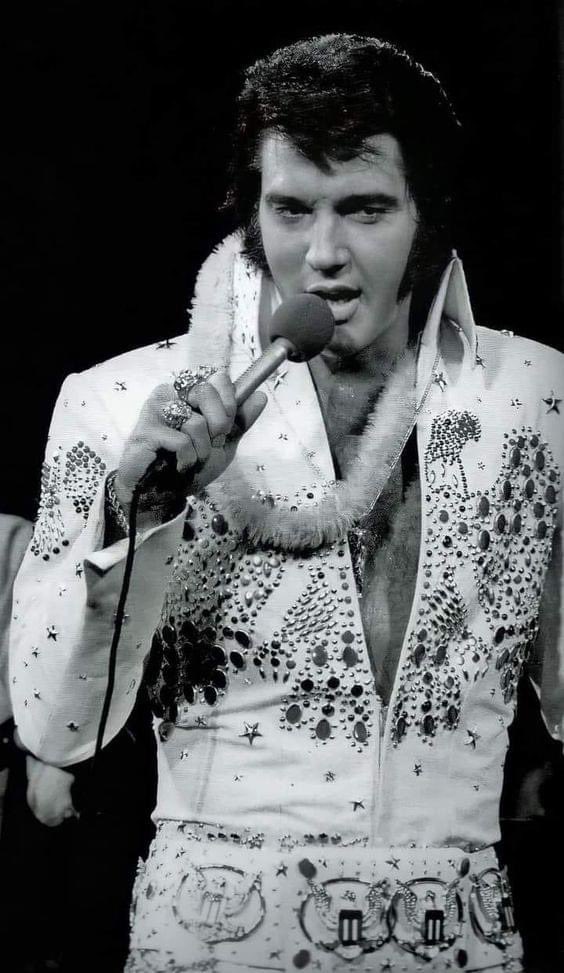 Elvi2Elvis's tweet photo. Happy Friday everyone!! Have a great weekend. Xo. ❤️ https://t.co/hu35JIODeZ