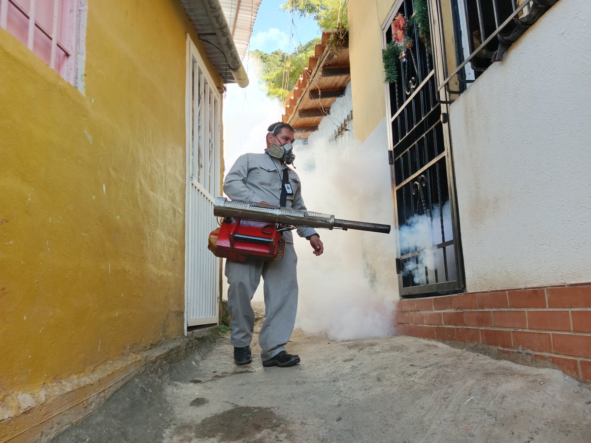 MalarioMerida18's tweet photo. #5ene #PuebloLegisladorDePaz
En el marco del Plan Integrado contra el Dengue, 1258 personas fueron protegidas en la jornada de termonebulización y abatización llevadas a cabo en la parroquia Osuna Rodríguez del municipio Libertador. https://t.co/QOFe1MFVU9