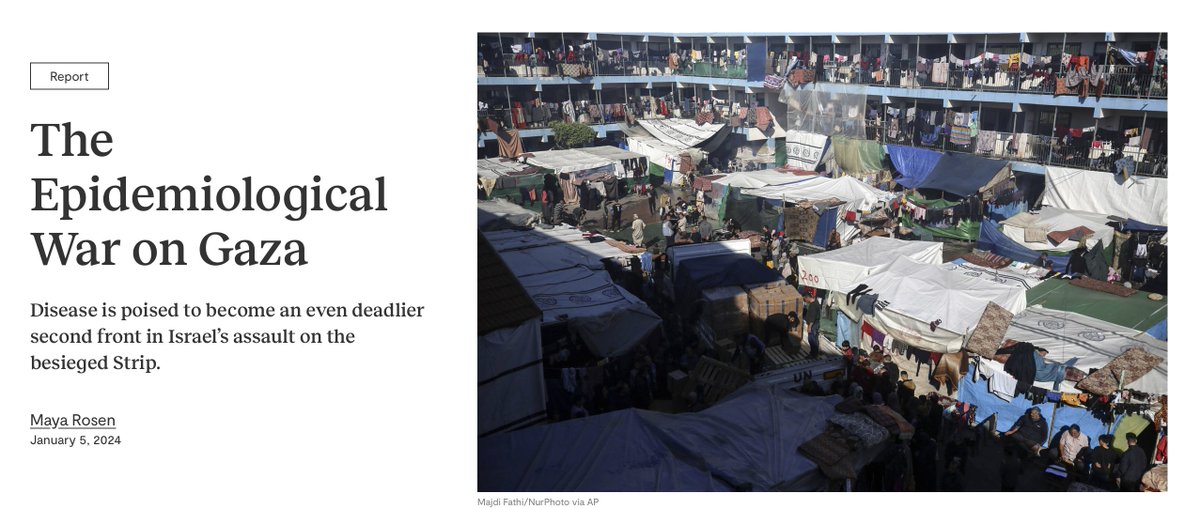 As Israel continues manufacturing a humanitarian crisis in Gaza, the deadliness of disease and starvation is poised to eclipse the death toll of the bombings. Maya Rosen reports: jewishcurrents.org/epidemiologica…