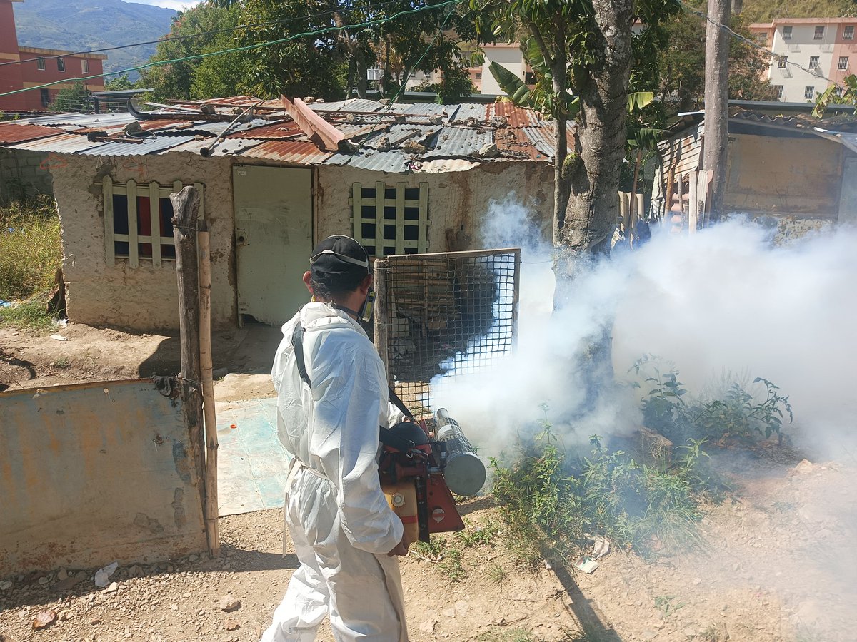 MalarioMerida18's tweet photo. #5ene #PuebloLegisladorDePaz
En el marco del Plan Integrado contra el Dengue, 1258 personas fueron protegidas en la jornada de termonebulización y abatización llevadas a cabo en la parroquia Osuna Rodríguez del municipio Libertador. https://t.co/QOFe1MFVU9