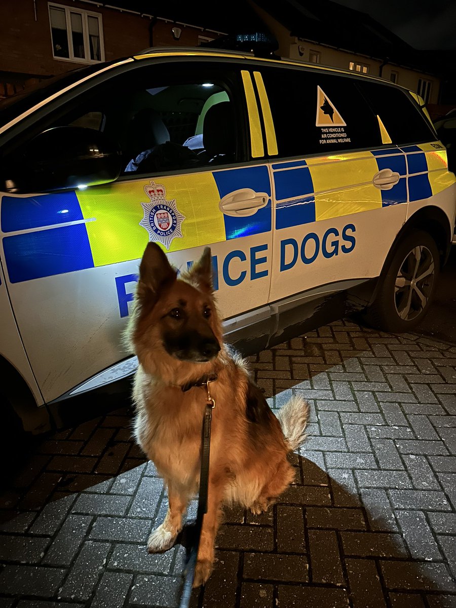 2 males ran from officers in #Brixton, 1 was detained &amp; the second was tracked and spotted by PD Frankies handler by the given description. He attempted to hide in a nearby restaurant,but PD Frankie made her presence known &amp; he decided against another foot chase and was arrested.