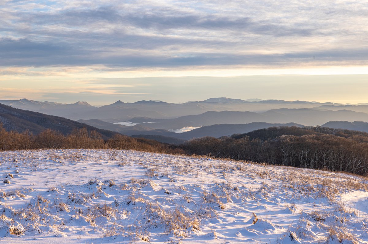 Jared_Kay_'s tweet photo. Have a wonderful upcoming weekend friends :) Be sure to get outside and explore. You've earned it!

#pisgah #naturephotography #wnc #westernnorthcarolina #NaturePhotography #maxpatch #asheville #mountains #snowscape  #pisgahnationalforest #canonphotography #canonr5 https://t.co/3UtPKcx2PU