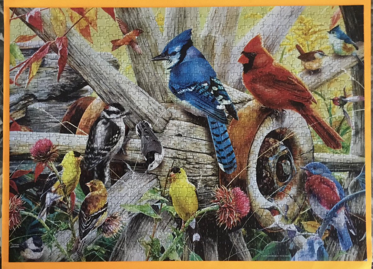 msdctinkw's tweet photo. #NationalBirdDay 🧩 https://t.co/Pd2pVVWsvW