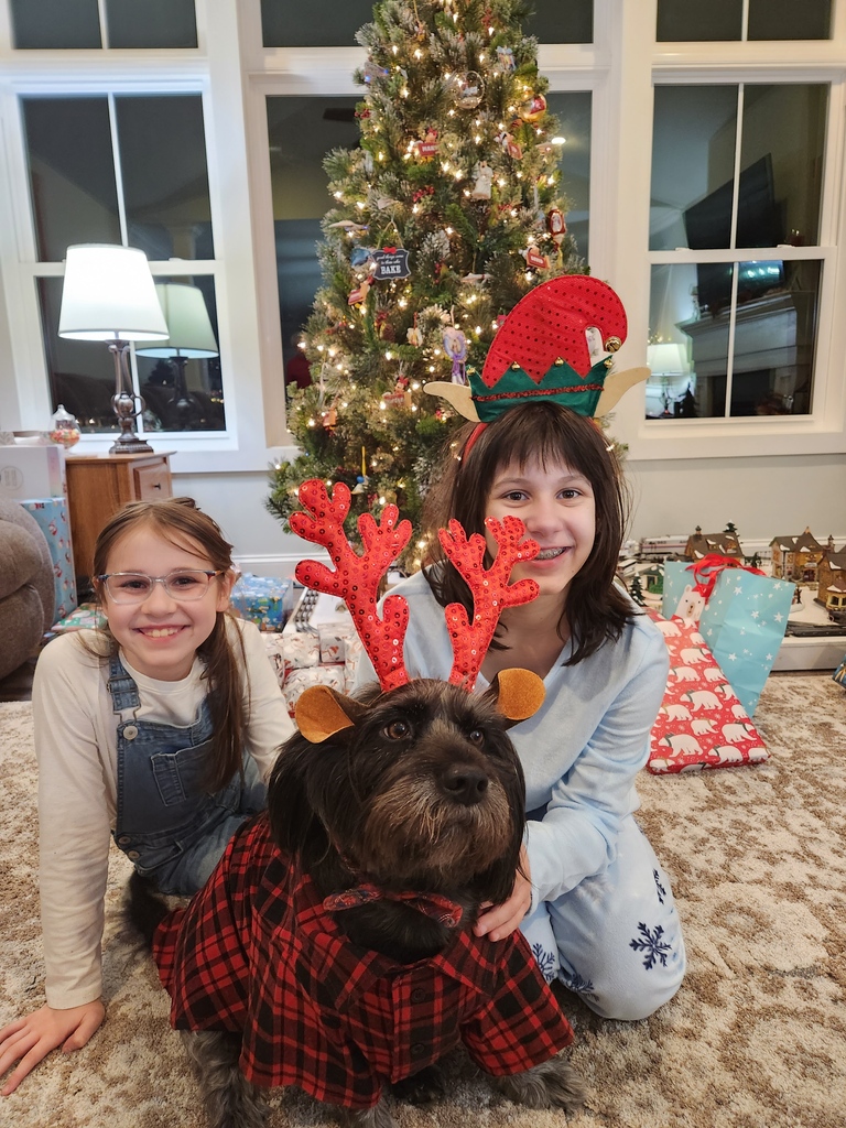 ShopCore Properties tweet media