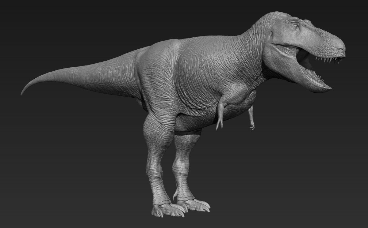 RexyMex_'s tweet image. T.rex 3D sculpt.
