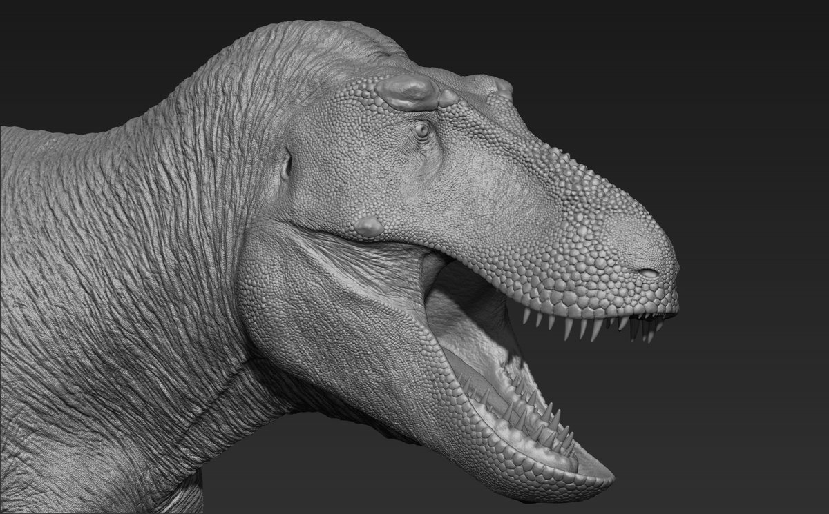 RexyMex_'s tweet image. T.rex 3D sculpt.