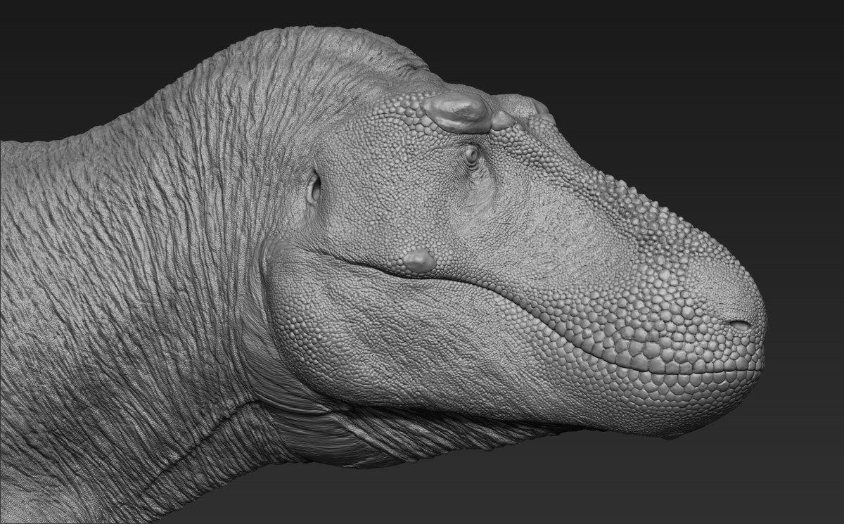 RexyMex_'s tweet image. T.rex 3D sculpt.