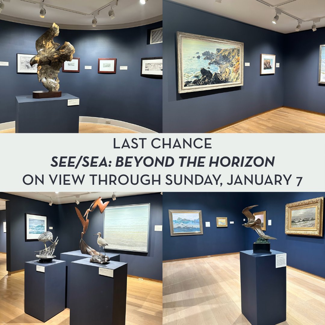 LAST CALL 🌊
In need of a beach vacation? Stop in to the Museum this weekend for one last chance to view the extraordinary seascapes in See/Sea: Beyond the Horizon. This exhibition will be on view through Sunday, January 7. As always, admission is FREE!