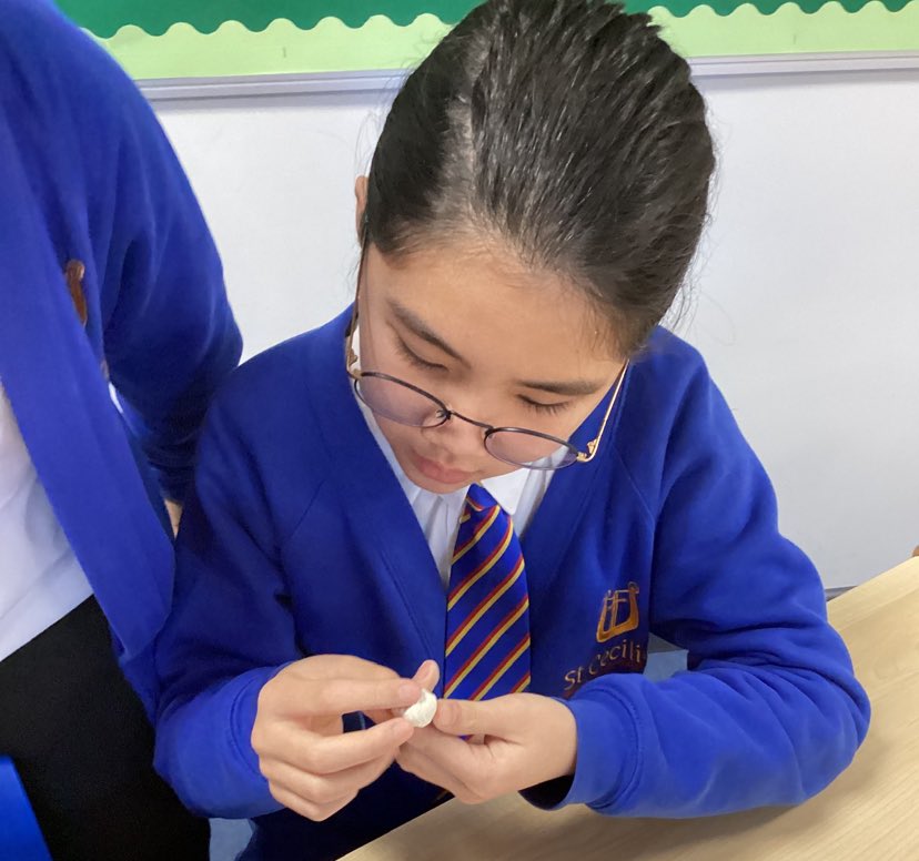 Year 6 enjoyed looking at fossils today in their science lesson!