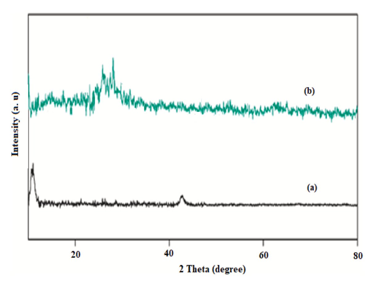Elisabeth Bik tweet media