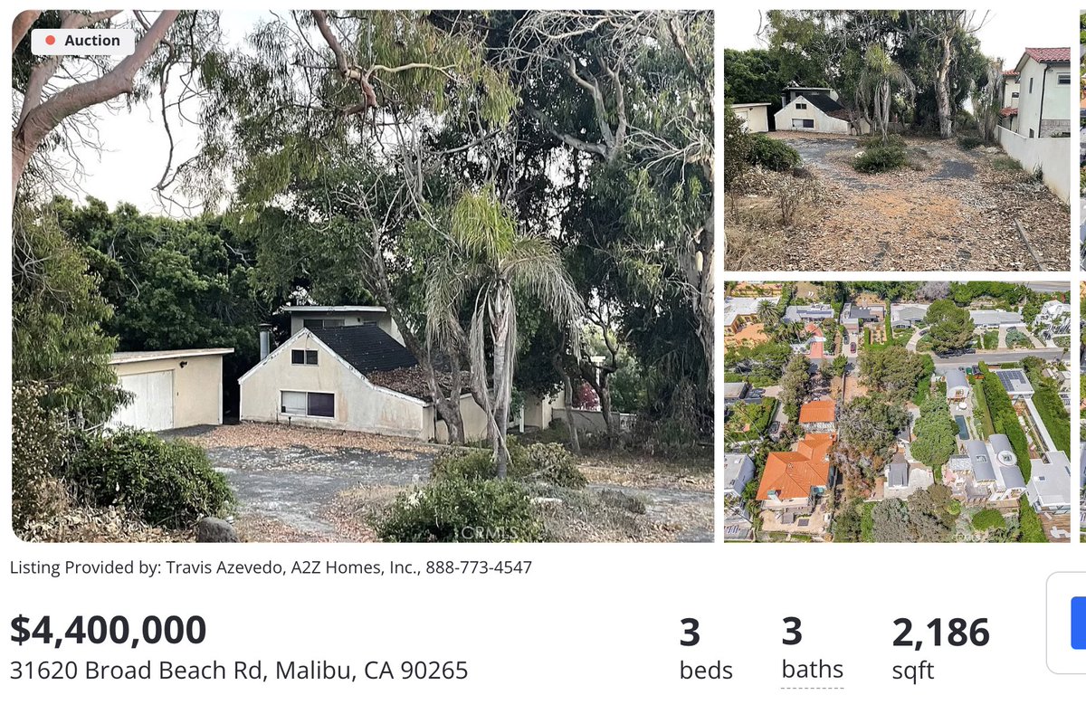 Noel Smith tweet media