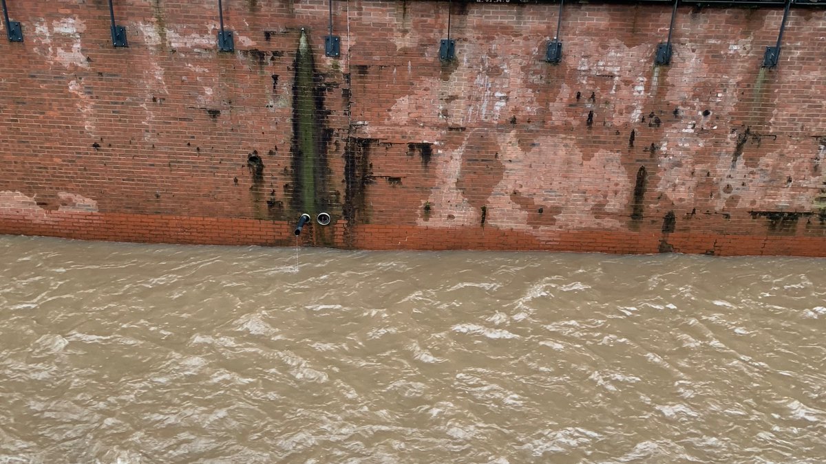 Aaron Bradshaw tweet media