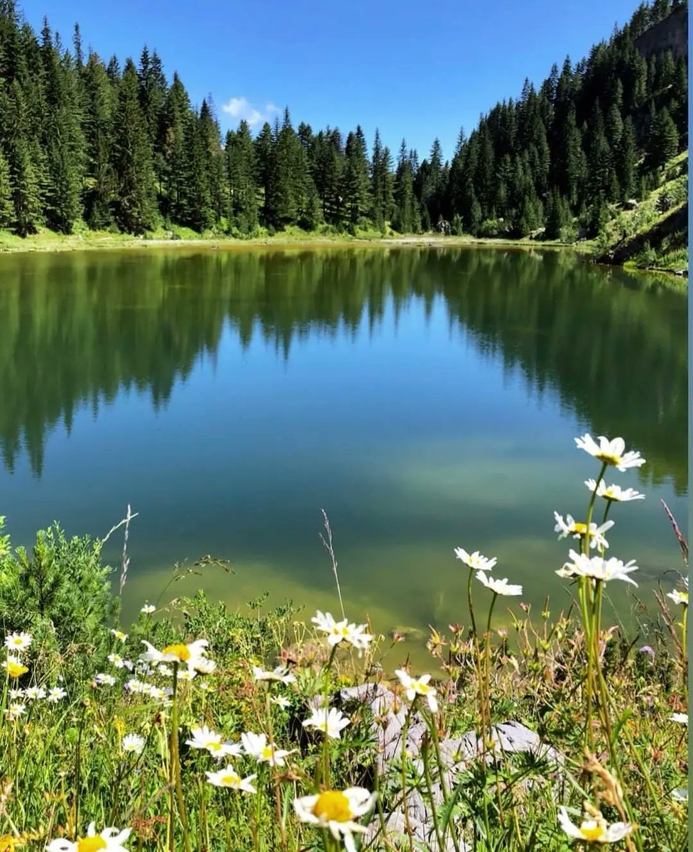 Beautifull Liqenati Lake on Rugova mountains 🏞️
°
Insta: @thegiantleprechaun
°
#mountains #hiking #hikingtrails #hikingeurope #travel #travelinspiration #nature #outdoors #peaksofthebalkans #hikingdestinations #tourism #travel_europe #peja #shkodra #plav #gusinje