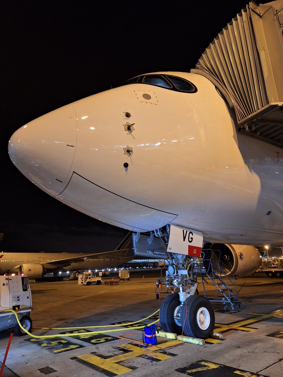 marcleflour tweet media