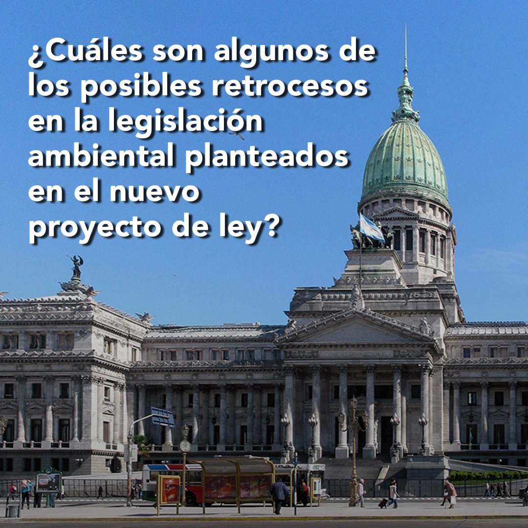 Vida_Silvestre's tweet photo. ⚠️ Junto a más de 100 organizaciones de la sociedad civil expresamos nuestra preocupación por las medidas planteadas en el Proyecto de Ley de Bases y Puntos de Partida para la Libertad de los Argentinos.

Abrimos hilo🧵 https://t.co/hzZao3JCOD