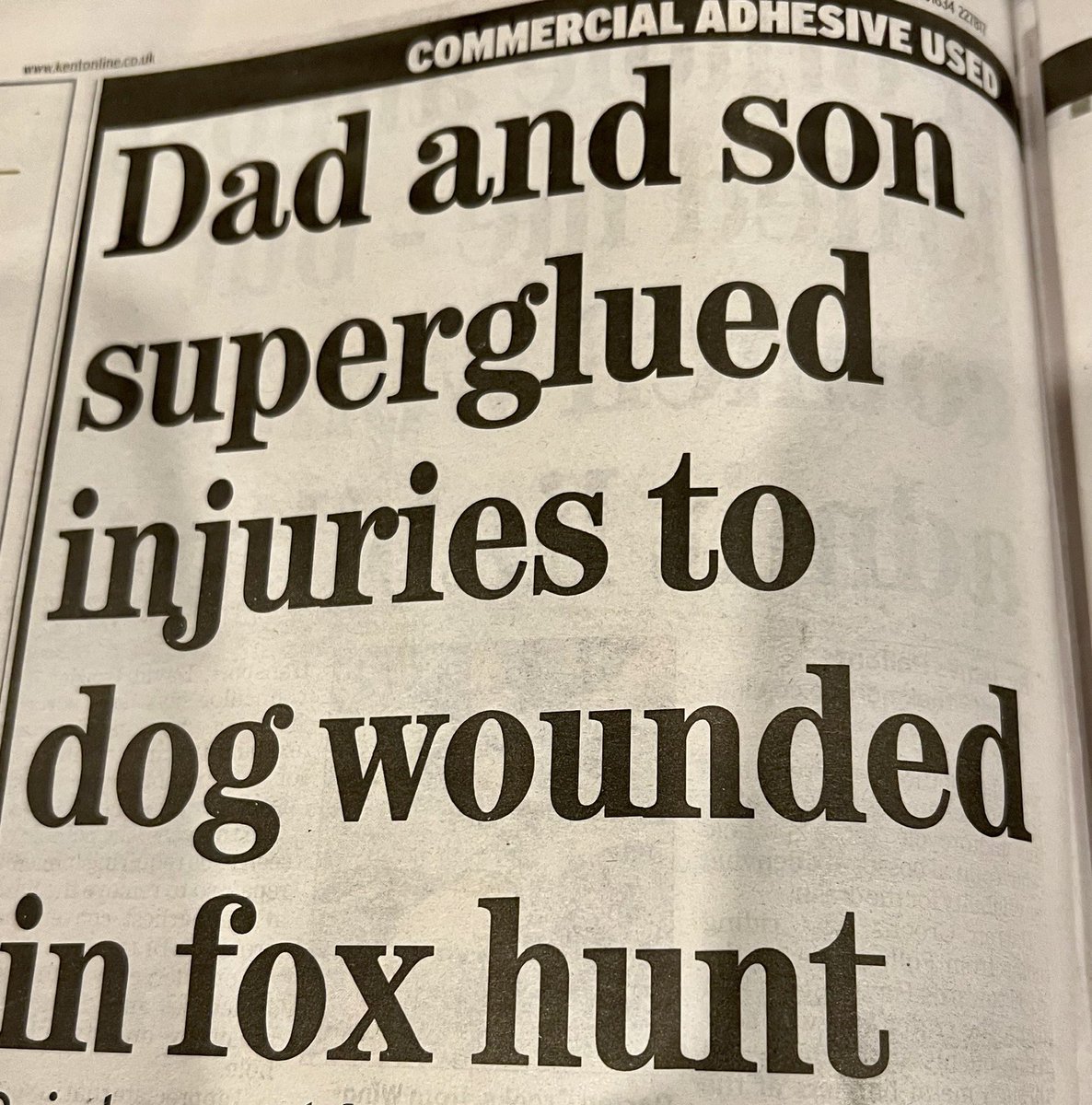 jonholmes1's tweet photo. The big question here is surely: how do you superglue an injury to a dog? #LocalPaper https://t.co/30YaNQpuaI