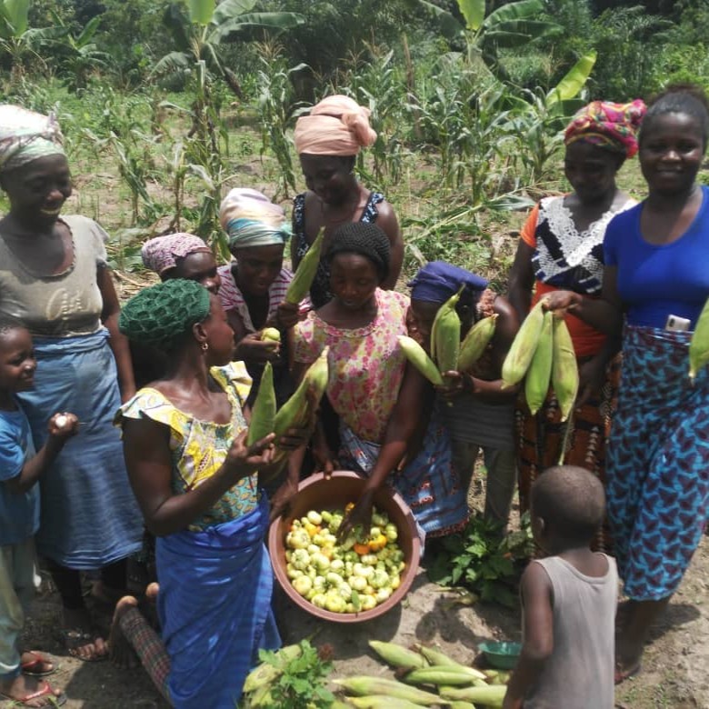 Carrefour International tweet media