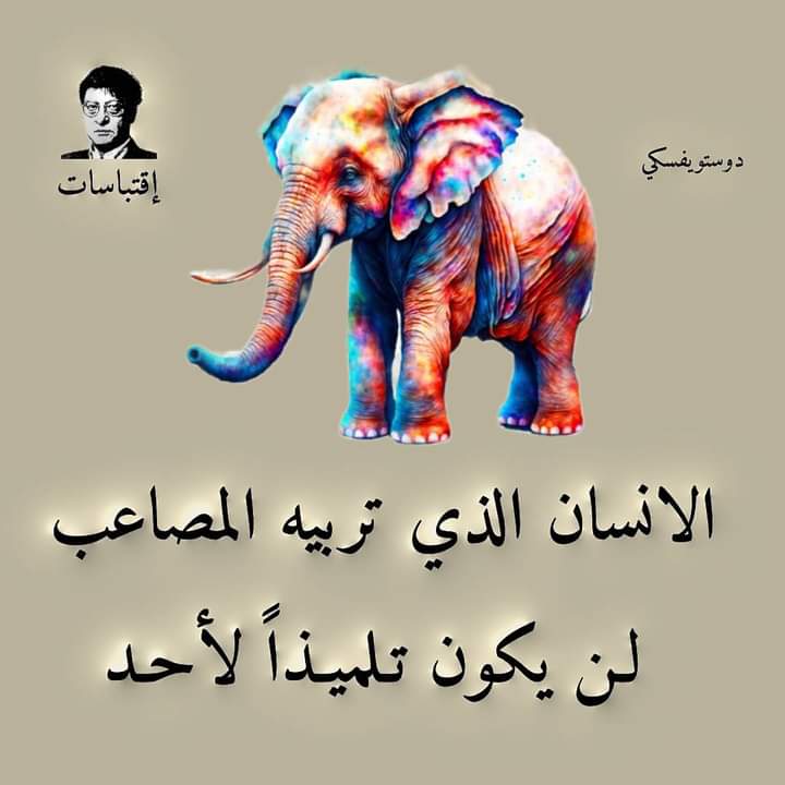 JybMwr's tweet photo. https://t.co/XOSDZ6OwBD