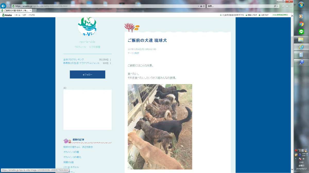 LOfndnUtstj7z8V's tweet photo. 注意喚起です

弁護士にサインをさせられて、黙ってい��したが
これ以上不幸な軍鶏を増やさないために名誉毀損で訴えられてもかまいません、公開します

ここの団体にご注意ください
宮古島のNPOラヴィータという団体ですNPO法人La-Vida
過去に私はこちらの団体に軍鶏をパーマカルチャーで使うので譲って欲しいとメッセージを頂き、7羽のオスと18羽のメスを譲渡しました
もちろん、最終飼育という話で
環境の写真もとても良く　また、毎週のように捨てられ収容スペースもなく困り果てていました

たくさんの引き取りだったこともありとてもおとなしいオスを選び送りました
最後の最後まで迷いましたが
大切にしてくださるということで送りました

何度か連絡を頂き元気な姿を見せてもらい安心していましたが

しばらくして
支援者さんが
琉球犬の活き餌さとして与えている
ヒヨコを孵して
蛇のエサにしていることがわかりました

連絡すると
オスは知り合いにあげたといわれ、
取り返してほしいと頼むと
��っぱり間違いで
事故で犬にほとんどが食べられたと言われました

しかも、はじめに聞いていた犬の団体ではなくラヴィータという別の団体になっていました

不信感でいっぱいでいろいろ問い詰めると
向こうの弁護士が出てきて
SNS等に公開しなければ生き残りを返すプラス20万払うと言われ　Amazonの欲しいものリストから商品も送られてきました
冗談じゃないと
商品も現金も全て返しました

そして代表とは連絡もつくことはなくなり、電話してもメッセージしても返事はなかった

結局生き残りと言われた軍鶏のメス10羽とオス1羽が返され泣き寝入りとなりました
これも全部が譲渡した軍鶏ではなかたった

私は今日まで一日も忘れたことはない
あんなところに送った後悔と
悔しい気持ちと
人間不信になりました

ちゃんと理由を説明し���くれと言っても犬に食わせた(犬を放した)人は自分ではなくそこで働く男性で　精神的に病んでいるので話��できない、宮古島から出たと意味がわからない理由で話すこともできずうやむやにされて終わり
そして、別の人からメッセージがきて、家から譲渡された鶏はエサにしていない
有精卵を買って孵化をさせたものをエサにしていて
たまたまた事故だったと言われたのです

ここは今でも鶏を孵化をさせている
未だに飼育できなくなった動物も募集している

どうか、同じことを繰り返させないようしっかり調べてから動物を渡してほしい

写真は過去のブログです

最後の一枚は
今年6日のものです