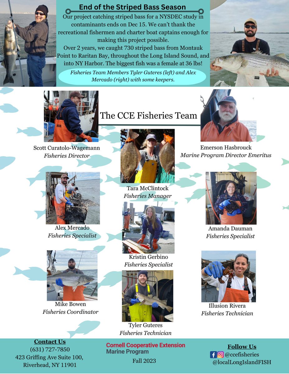 Don't miss out on our quarterly fisheries team news letters! Take a dive into our work and learn more about the exciting projects we have going on.🐟🌊
For more information visit: ccesuffolk.org/marine/fisheri…