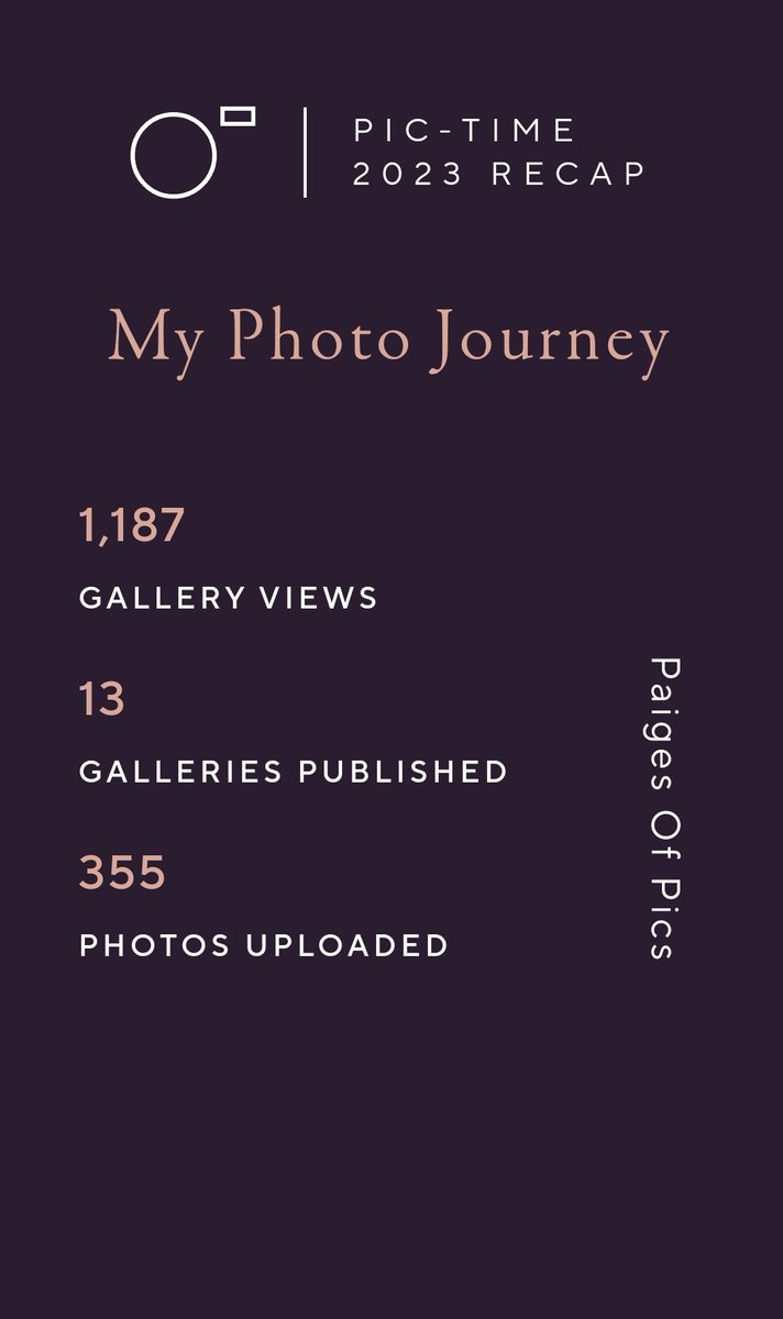 paigesofpics's tweet image. Thank you, @pictime_us, for a great year! #pictimeclient #pictime #photographer #photo #photography #yearinreview #yearinreview2023