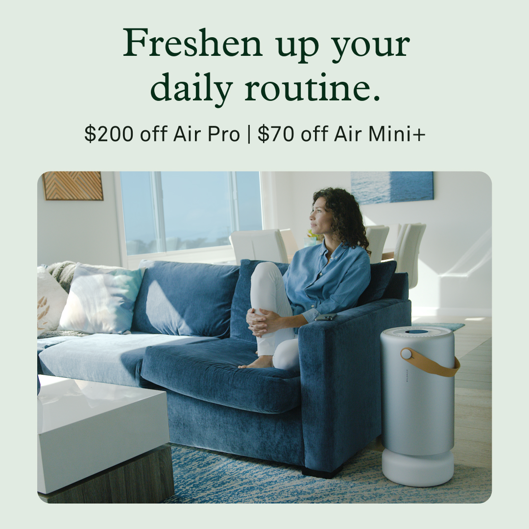 Ring in the new year with a fresh start and clean air. Ends 1/6. 🔔 
#newyear #celebrate #air