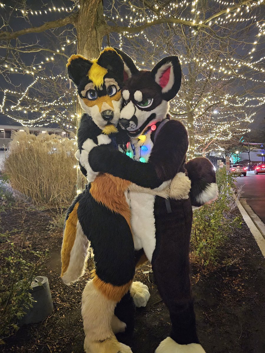 Azflip's tweet photo. Happy #FursuitFriday with @fuskypuppy and I  at MFF :D https://t.co/C4Rr9jC7HI