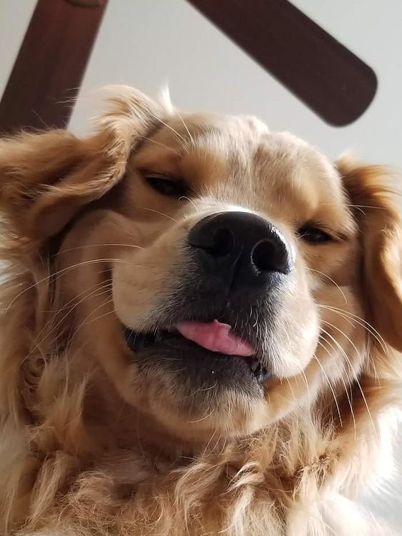 jnyuic's tweet photo. how could i ever be mad at him when this is literally what he looks like https://t.co/B7DMWTvMyn