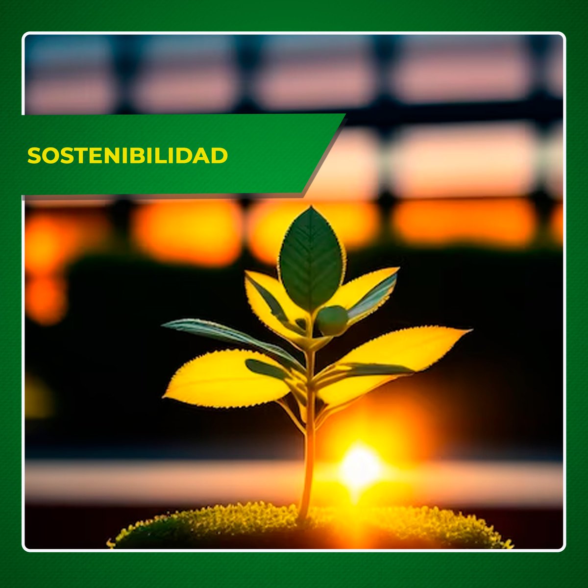 #RíoBlancoCopper | Conoce más sobre #MineríaVerde 🌱💚Nuestra casa matriz Zijin ha implementado este novedoso concepto que busca desarrollar la minería ecológica, promoviendo el ahorro de energía y la reducción de emisiones.